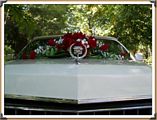 1973 Cadillac Eldorado Cabrio 013